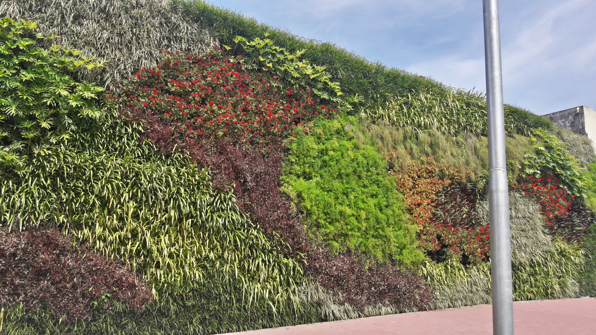jardin vertical artificial, pared vegetal artificial