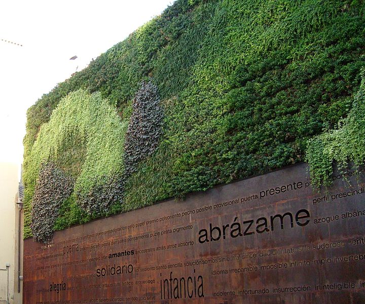 jardin vertical en muro, pared natural