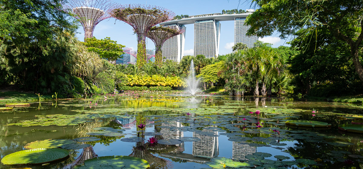 Gardens by the Bay, jardín vertical singapur